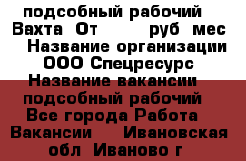 подсобный рабочий . Вахта. От 30 000 руб./мес. › Название организации ­ ООО Спецресурс › Название вакансии ­ подсобный рабочий - Все города Работа » Вакансии   . Ивановская обл.,Иваново г.